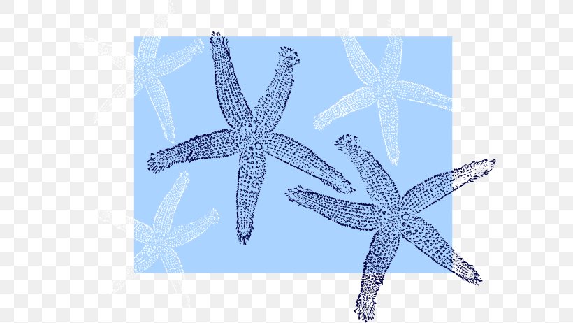 Starfish Echinoderm Beach Bag Unisex, PNG, 600x462px, Starfish, Bag, Beach, Blue, Echinoderm Download Free
