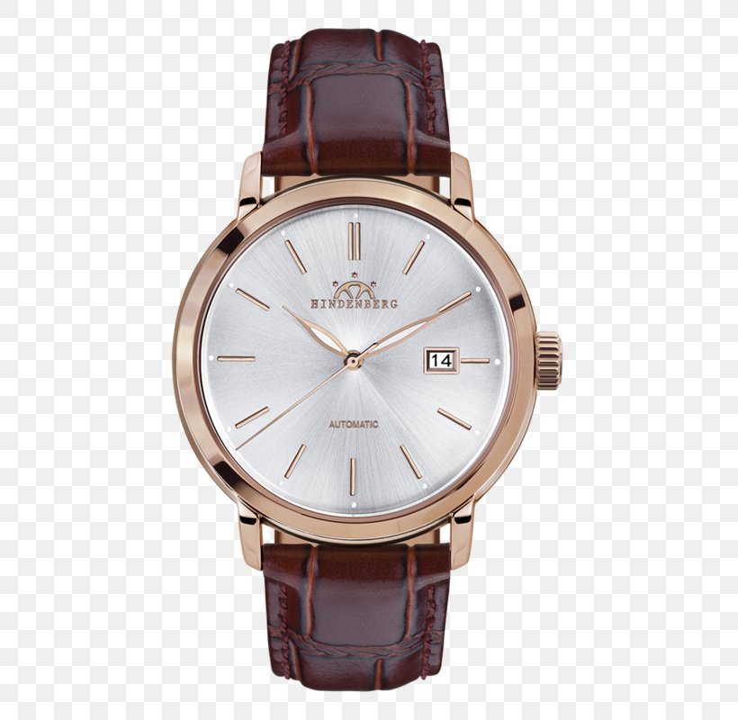 Watch Complication Omega SA Patek Philippe & Co. Chronograph, PNG, 600x800px, Watch, Automatic Watch, Brown, Chronograph, Complication Download Free