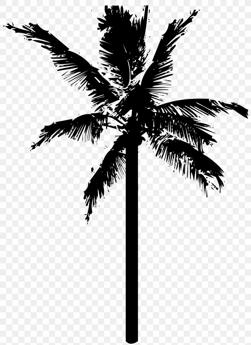 Coconut Clip Art, PNG, 2000x2750px, Coconut, Arecaceae, Arecales, Black And White, Borassus Flabellifer Download Free