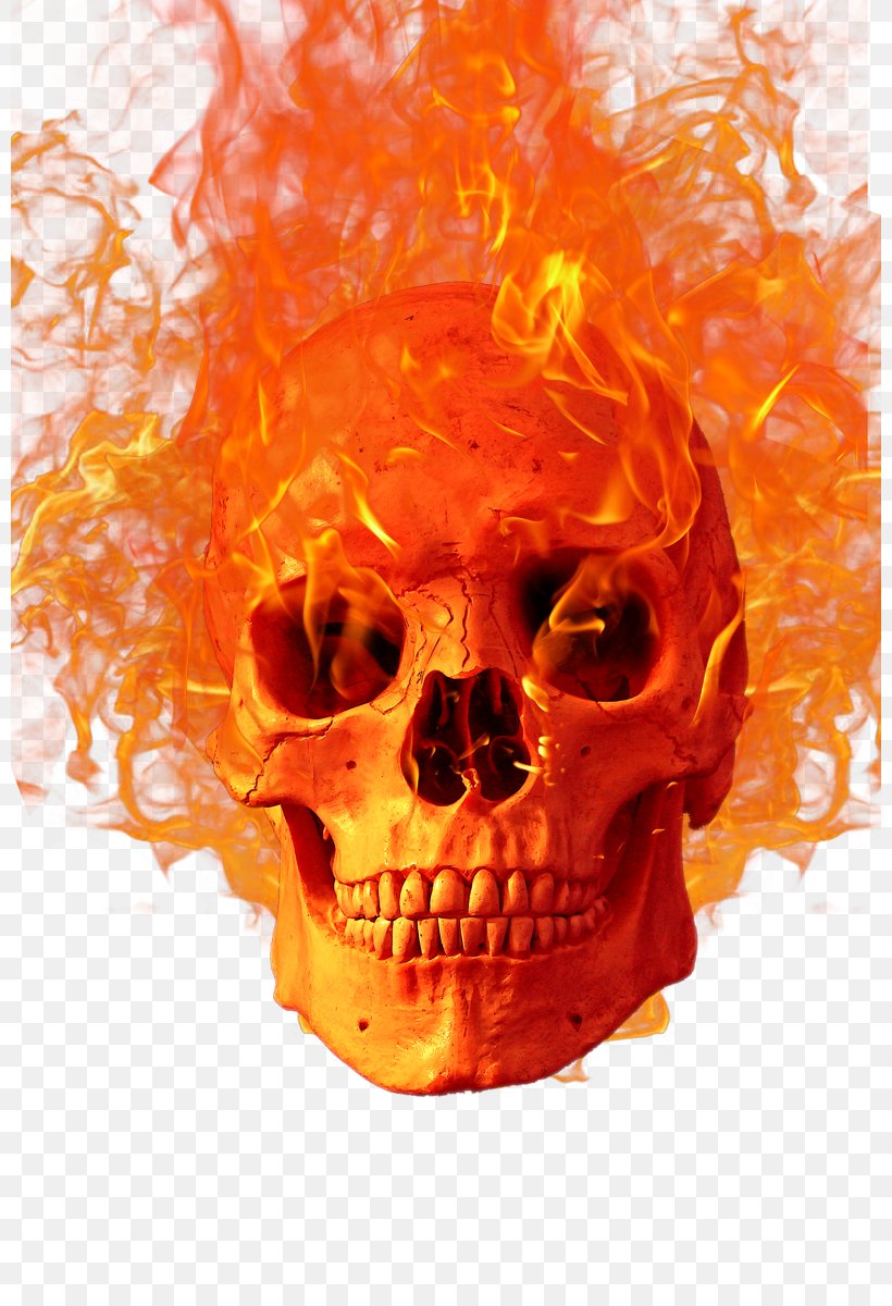 Flame Fire Icon, PNG, 800x1200px, Fire, Bone, Flame, Halloween, Jaw Download Free