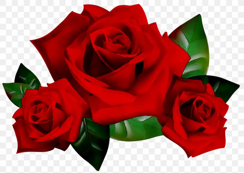 Garden Roses Image Desktop Wallpaper Floral Design Flower, PNG, 1139x811px, Garden Roses, Bouquet, Cabbage Rose, China Rose, Cut Flowers Download Free