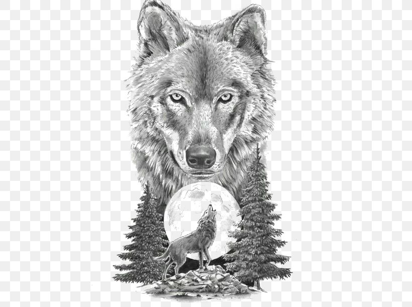 Gray Wolf Art In Motion Tattoo Studio Tattoo Artist Drawing, PNG, 564x611px, Gray Wolf, Arm, Aullido, Black And White, Body Painting Download Free