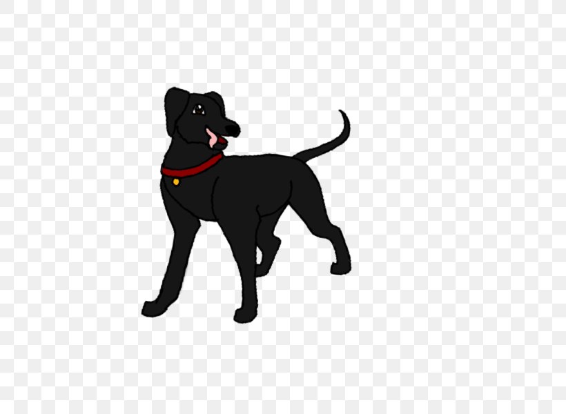 Labrador Retriever Cat Puppy Dog Breed Leash, PNG, 600x600px, Labrador Retriever, Black, Breed, Carnivoran, Cat Download Free