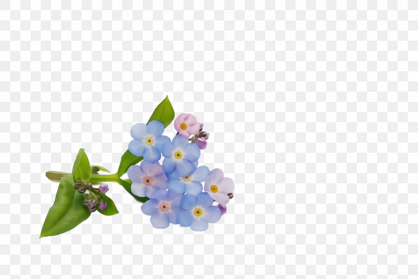 Lavender, PNG, 2444x1636px, Watercolor, Alpine Forgetmenot, Bouquet, Flower, Flowering Plant Download Free