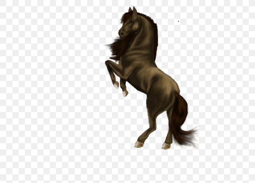 Mane Mustang Stallion Pony Halter, PNG, 588x588px, Mane, Bridle, Halter, Horse, Horse Like Mammal Download Free