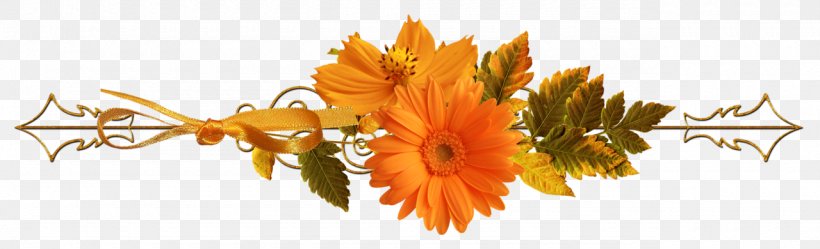 Orange, PNG, 1280x390px, Orange, Branch, Flora, Floral Design, Flower Download Free