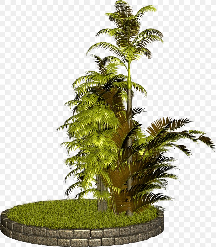Tree Plant PhotoScape Clip Art, PNG, 989x1128px, Tree, Arecaceae, Arecales, Bonsai, Flowerpot Download Free