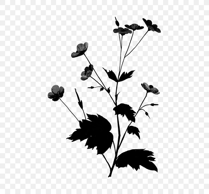 Twig Plant Stem Flower Leaf Silhouette, PNG, 472x760px, Twig, Art, Blackandwhite, Botany, Branch Download Free