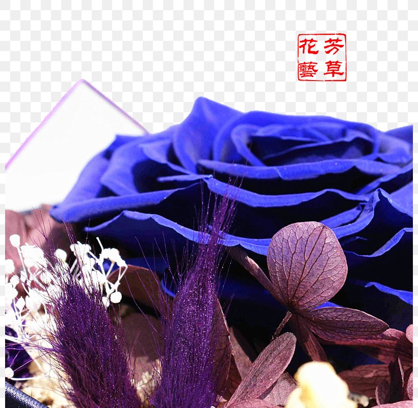 Blue Flower Euclidean Vector, PNG, 800x800px, Blue, Blue Flower, Cobalt Blue, Color, Concepteur Download Free