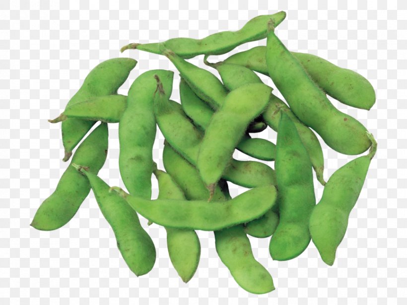 Snap Pea Edamame Vegetable Green Pea, PNG, 866x650px, Snap Pea, Bean, Broad Bean, Common Bean, Cuisine Download Free