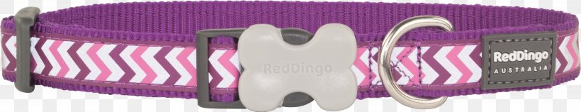 Dingo Dog Leash Cat Collar, PNG, 3000x580px, Dingo, Body Jewelry, Brand, Cat, Centimeter Download Free