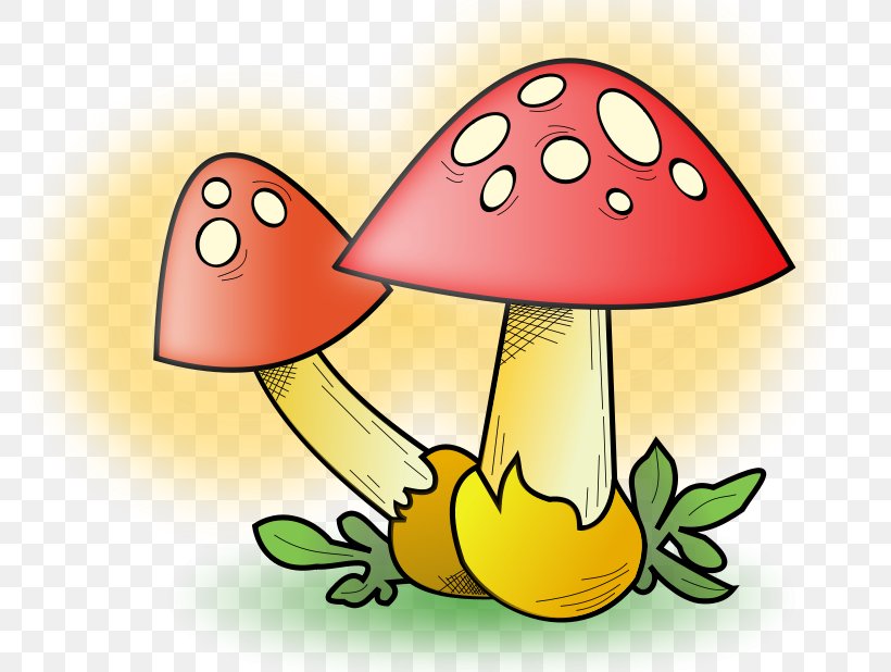 Edible Mushroom Clip Art, PNG, 800x618px, Mushroom, Artwork, Cartoon, Common Mushroom, Drawing Download Free