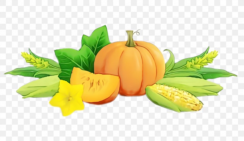 Pumpkin, PNG, 1668x968px, Watercolor, Calabaza, Food, Fruit, Leaf Download Free