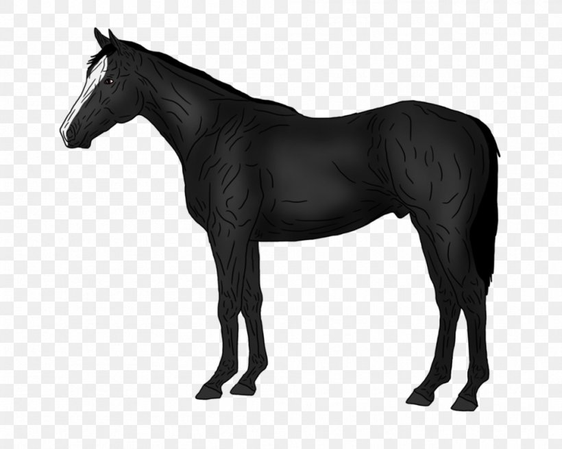 Thoroughbred American Quarter Horse Pony Stallion Silhouette, PNG, 999x799px, Thoroughbred, American Quarter Horse, Black And White, Bridle, Colt Download Free