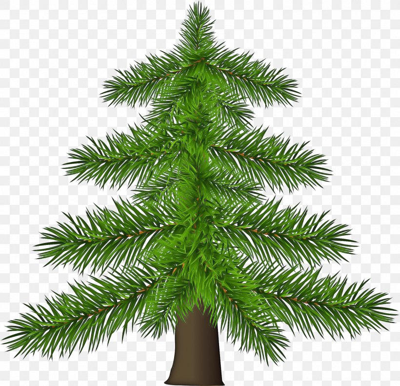Christmas Black And White, PNG, 1793x1730px, Christmas Tree, American Larch, Balsam Fir, Branch, Canadian Fir Download Free