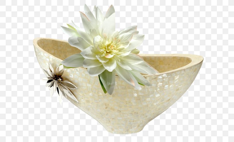 Epiphyllum Image White RGB Color Model, PNG, 673x500px, Epiphyllum, Color, Flower, Flowerpot, Gratis Download Free