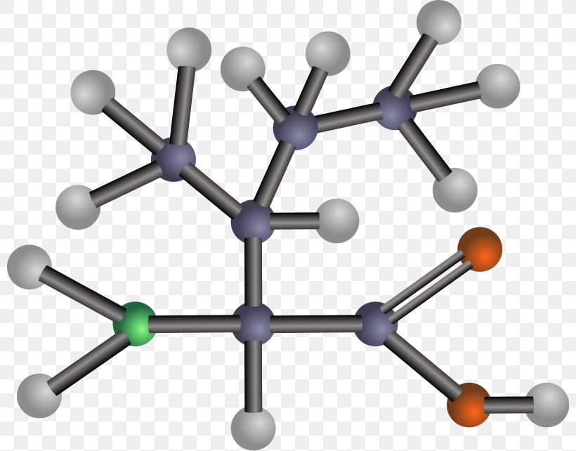 Essential Amino Acid Clip Art Asparagine Amine, PNG, 800x642px, Amino Acid, Acid, Amine, Asparagine, Biogenic Amine Download Free