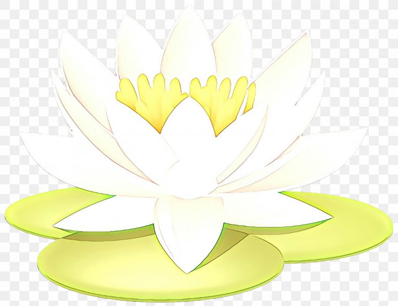 Lily Flower Cartoon, PNG, 3000x2311px, Yellow, Aquatic Plant, Flower, Lotus, Lotus Family Download Free