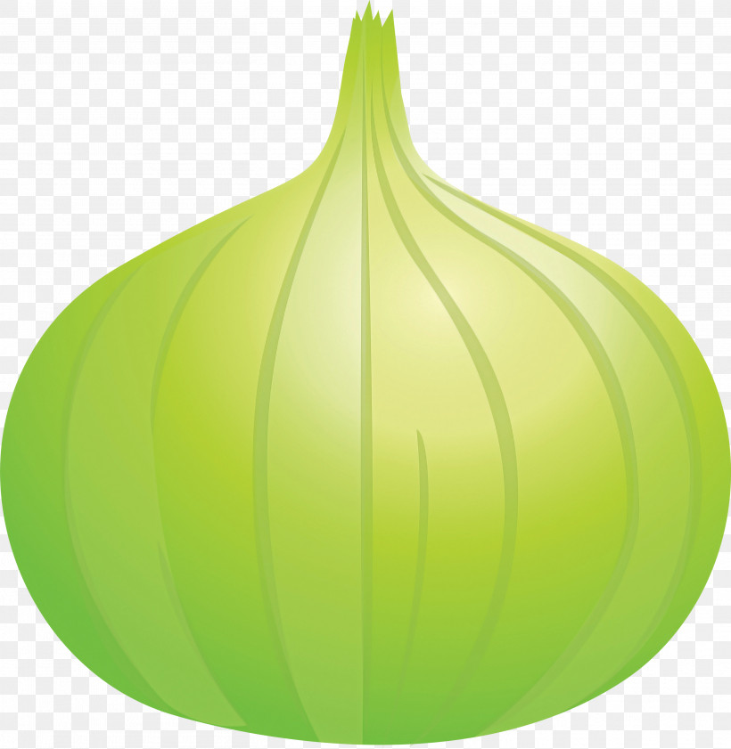 Onion, PNG, 2922x3000px, Onion, Biology, Fruit, Green, Leaf Download Free