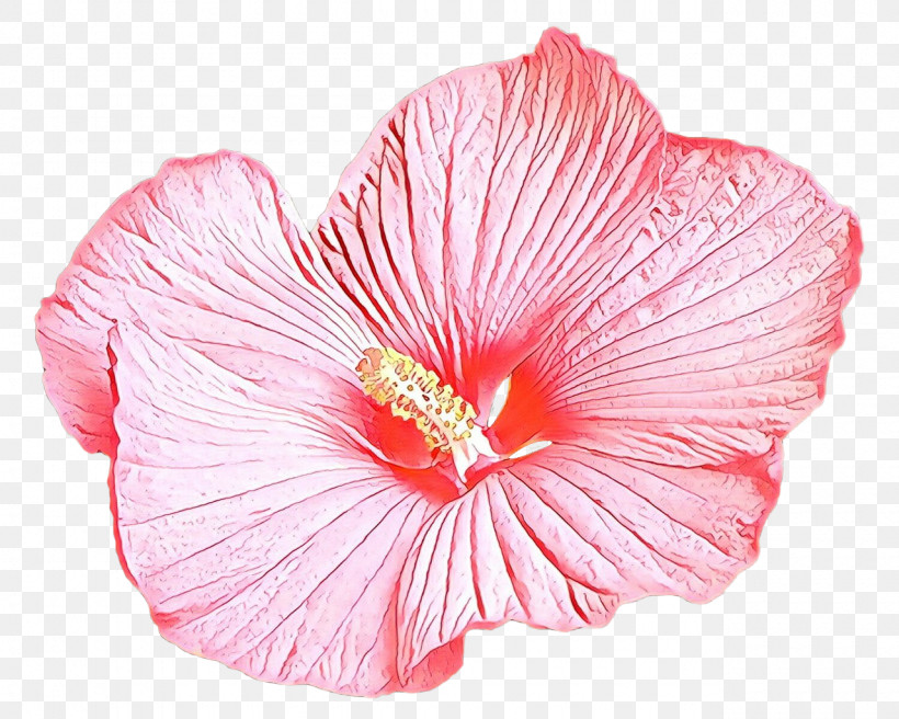 Petal Hibiscus Flower Pink Hawaiian Hibiscus, PNG, 1280x1024px, Petal, Chinese Hibiscus, Flower, Hawaiian Hibiscus, Hibiscus Download Free