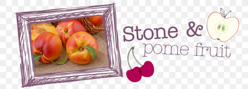 Pome Fruit Apple Quince Petal, PNG, 940x340px, Pome, Animal, Apple, Apricot, Asian Pear Download Free