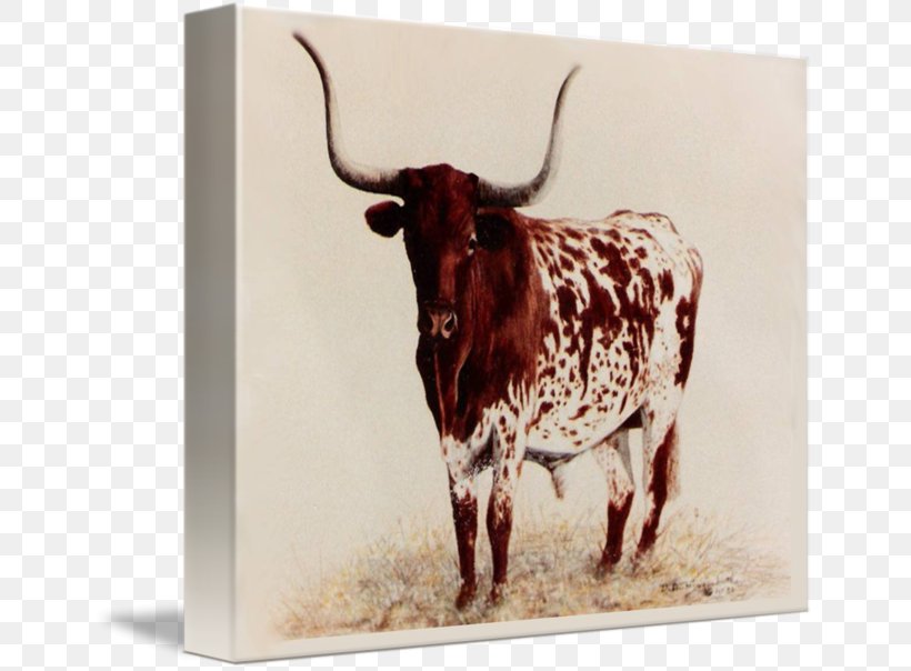 Texas Longhorn Oil Painting Art Canvas, PNG, 650x604px, Texas Longhorn, Art, Artist, Black And White, Bull Download Free