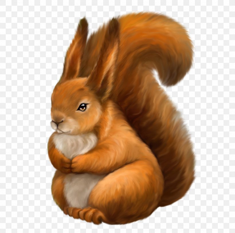Tree Squirrels Rebus, PNG, 2316x2304px, Tree Squirrels, Animal, Blog, Domestic Rabbit, Fur Download Free