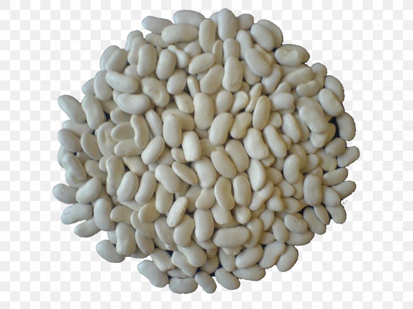 Common Bean Kastoria Legume Commodity Cepora, PNG, 1632x1224px, Common Bean, Bean, Commodity, Default, Ingredient Download Free