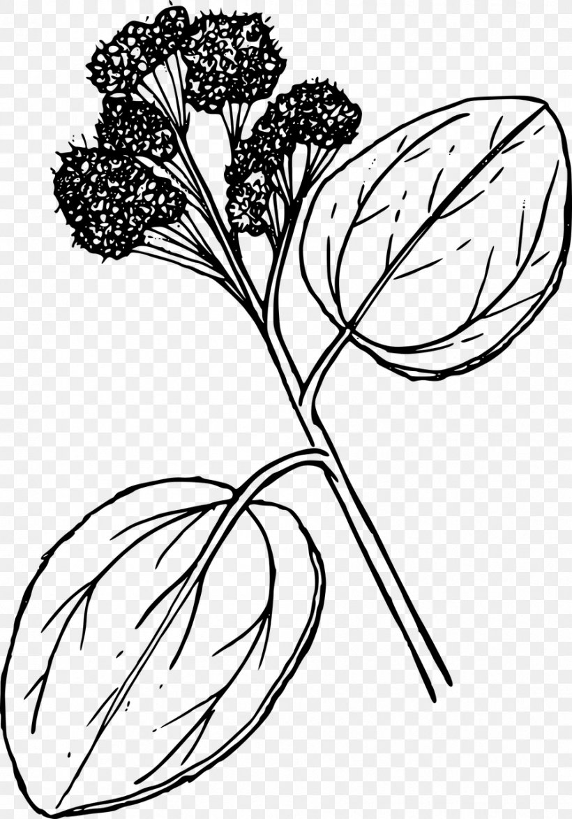 Floral Design Clip Art, PNG, 894x1280px, Floral Design, Artwork, Black And White, Branch, Bucket Download Free