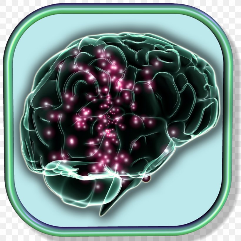 Electrical Brain Stimulation Neuroscience Memory Electrical Brain Stimulation, PNG, 1024x1024px, Watercolor, Cartoon, Flower, Frame, Heart Download Free