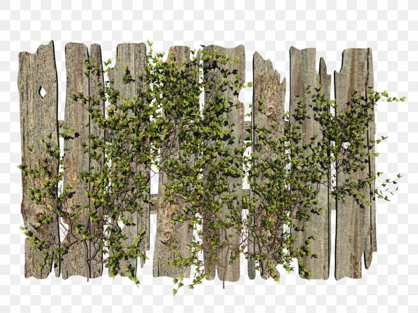 Picket Fence, PNG, 1600x1200px, Fence, Animation, Garden, Gate, Grass Download Free