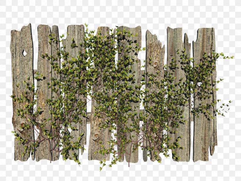 Picket Fence, PNG, 1600x1200px, Fence, Animation, Garden, Gate, Grass