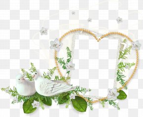 Leaf Frame - Picture Frames Photomontage Photography Paper PNG