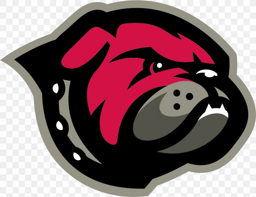 University Of Montana Western Montana Western Bulldogs Football Montana Western Bulldogs Men's Basketball University Of Providence, PNG, 916x706px, University Of Montana Western, American Football, Athletic Director, Carnivoran, College Download Free