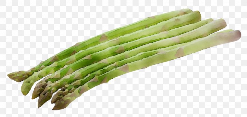 Asparagus Fordyce Spots Vegetarian Cuisine Therapy Symptom, PNG, 1439x686px, Asparagus, Article, Commodity, Confusion, Definition Download Free