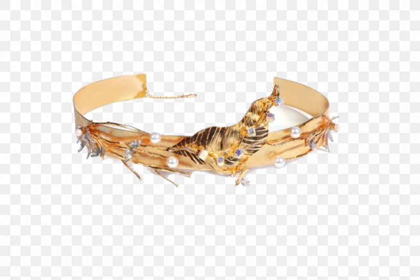 Bracelet Jewellery Metal Girdle, PNG, 960x641px, Bracelet, Belt, Brass, Fashion Accessory, Gemstone Download Free