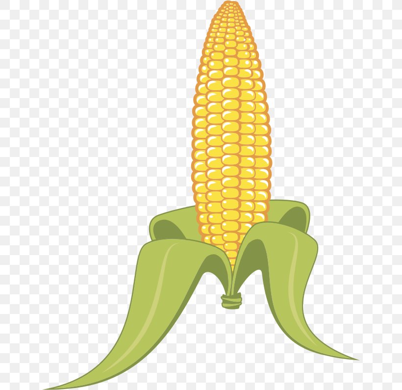 Popcorn Corn On The Cob Candy Corn Maize, PNG, 648x795px, Popcorn, Banana, Banana Family, Candy Corn, Cartoon Download Free