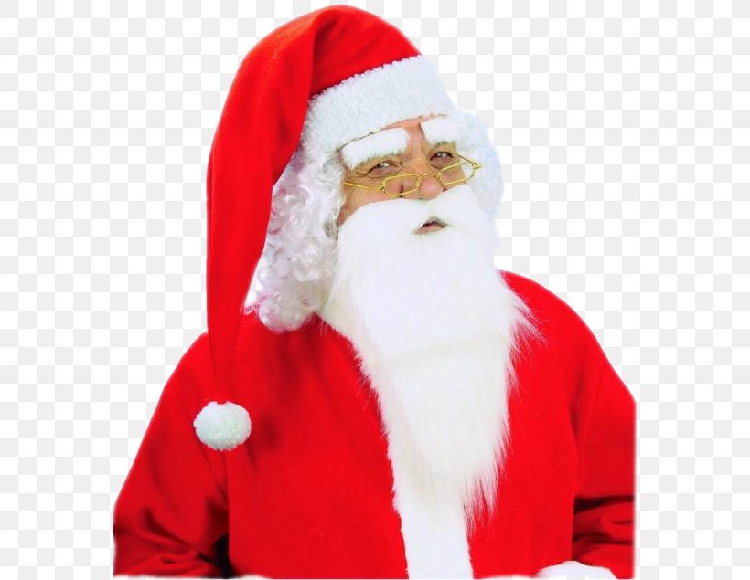 Santa Claus Christmas Beard Disguise Eyebrow, PNG, 573x635px, Santa Claus, Beard, Carnival, Christmas, Christmas Eve Download Free