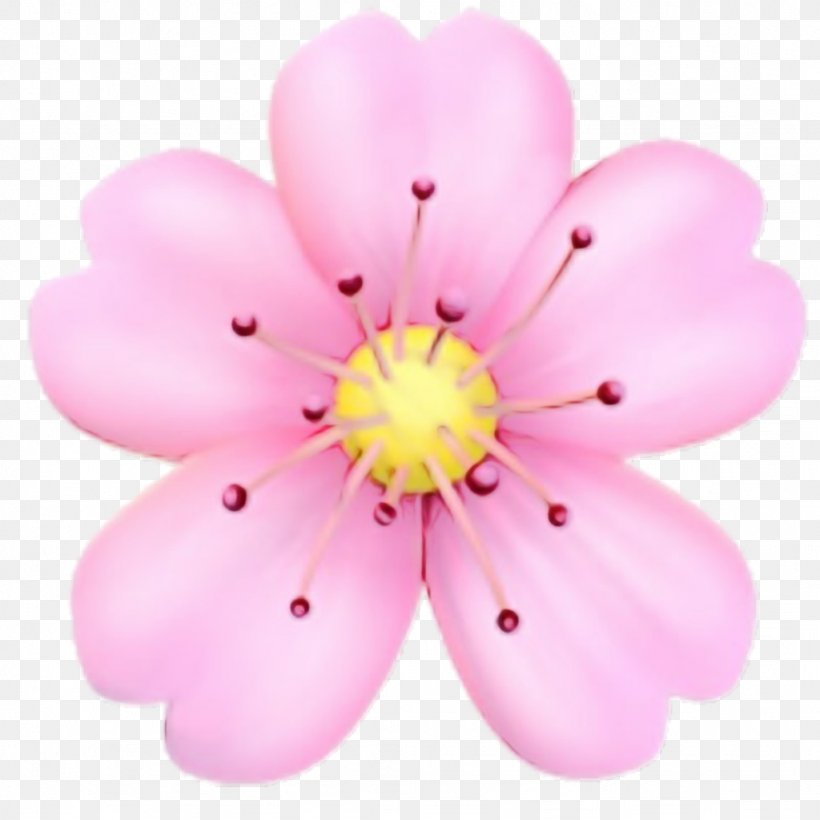 Cherry Blossom Cartoon, PNG, 1024x1024px, Petal, Blossom, Cherries, Cherry Blossom, Flower Download Free