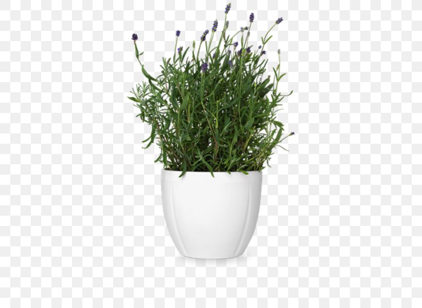 Flowerpot Cachepot Rosendahl Earthenware Vase, PNG, 600x600px, Flowerpot, Bowl, Cachepot, Ceramic, Earthenware Download Free