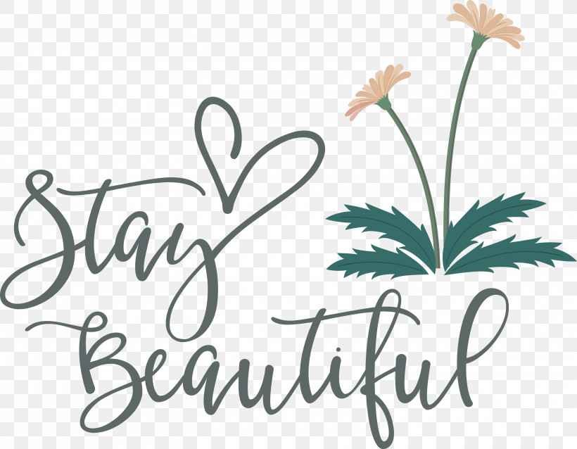 Stay Beautiful Fashion, PNG, 3000x2337px, Stay Beautiful, Calligraphy, Cut Flowers, Fashion, Floral Design Download Free