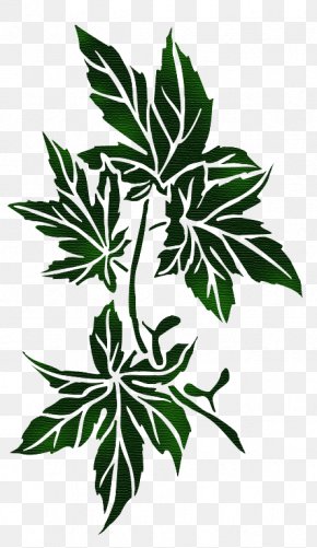 Leaf - Glass Etching Maple Leaf Chemical Milling PNG
