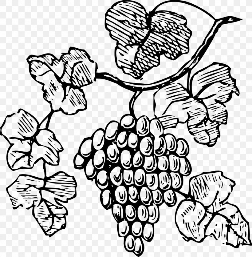Grape Wine Drawing Clip Art, PNG, 982x1000px, Grape, Black And White, Coloring Book, Drawing, Fictional Character Download Free