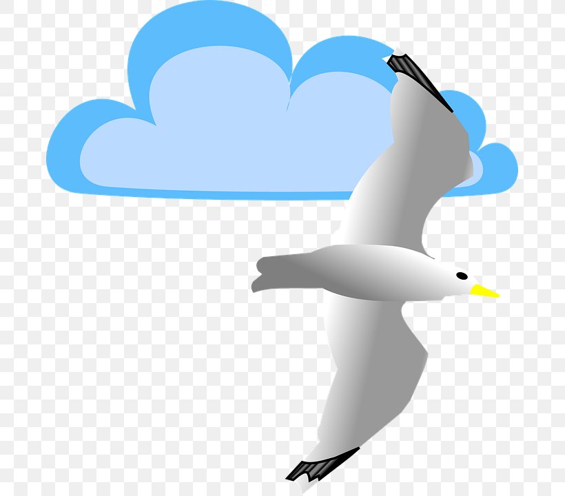 Gulls Clip Art, PNG, 685x720px, Bird, Beak, Cloud, Common Gull, Ducks Geese And Swans Download Free
