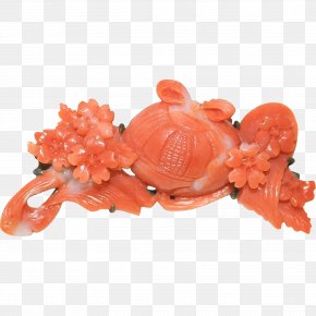 SALMON - Peach PNG
