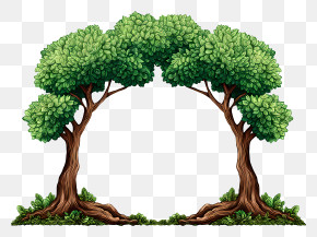 Tree Border - Green Tree Arch Illustration PNG
