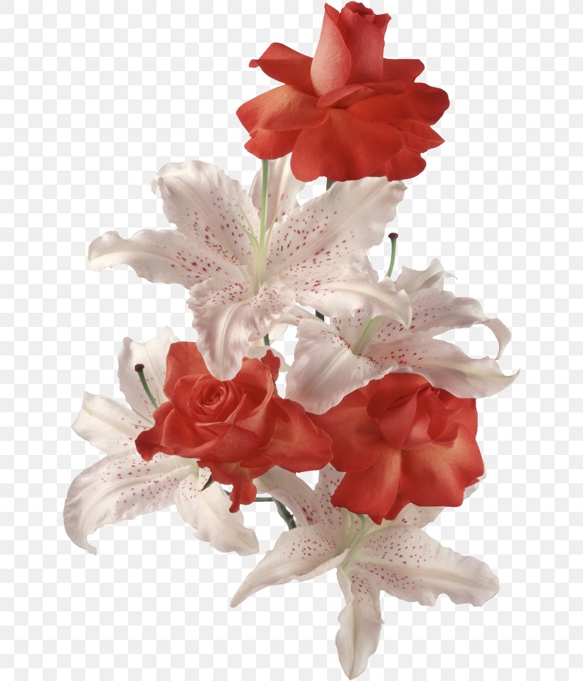Cut Flowers Liliaceae Lilium Bulbiferum, PNG, 647x958px, Flower, Artificial Flower, Cut Flowers, Drawing, Floral Design Download Free