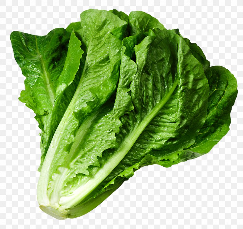 Lettuce Sandwich Wrap Iceberg Lettuce Clip Art, PNG, 1150x1087px, Butterhead Lettuce, Cabbage, Caesar Salad, Celtuce, Chard Download Free