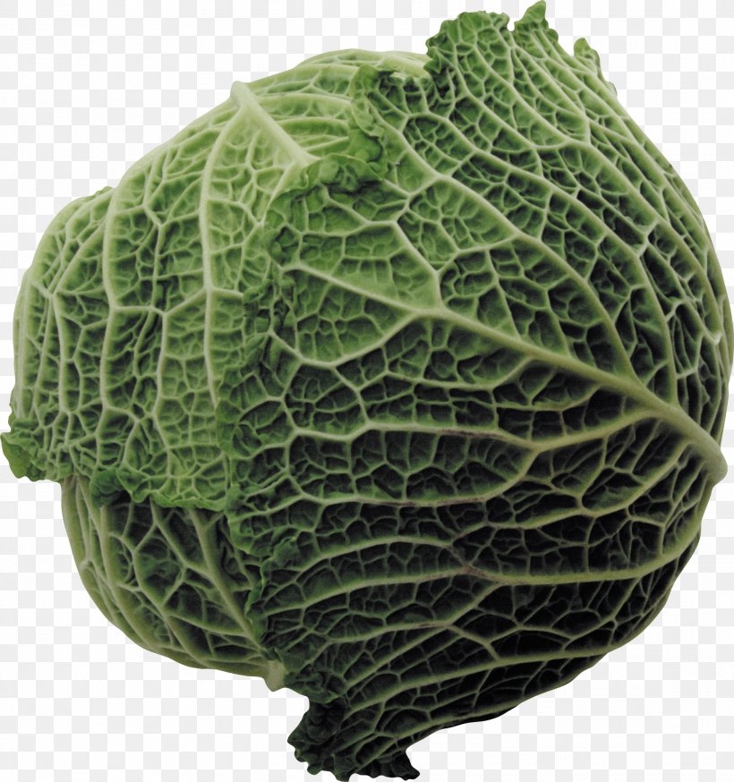 Savoy Cabbage Capitata Group Collard Greens Spring Greens, PNG, 1917x2044px, Savoy Cabbage, Cabbage, Cabbages, Capitata Group, Cauliflower Download Free