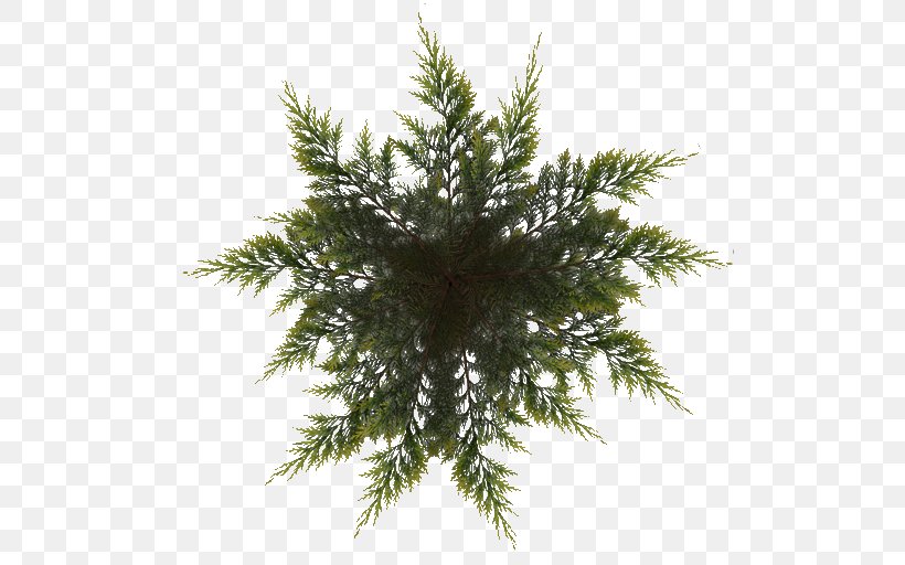Spruce Pine Christmas Tree Fir, PNG, 512x512px, Spruce, Branch, Christmas Day, Christmas Ornament, Christmas Tree Download Free